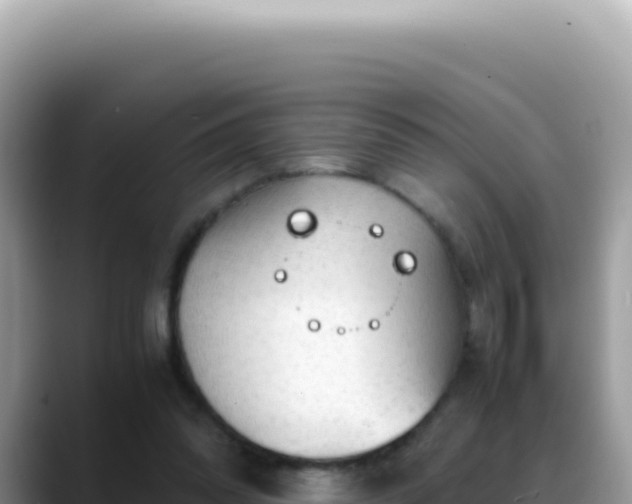 X0000088740302200706071705