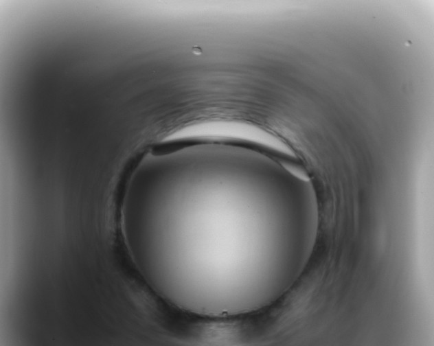 X0000088740303200706071705