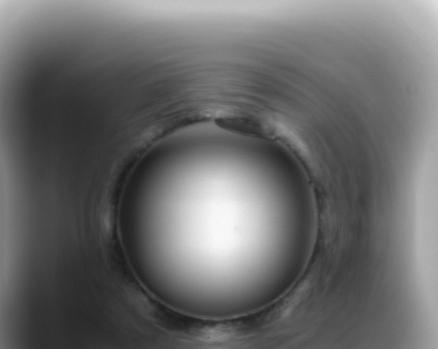 X0000088740305200706071705