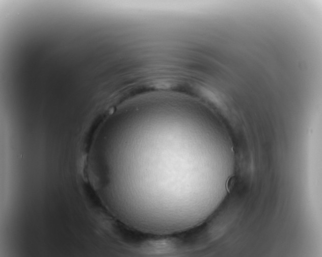 X0000088740307200706071705