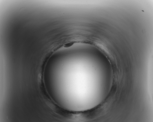X0000088740309200706071705