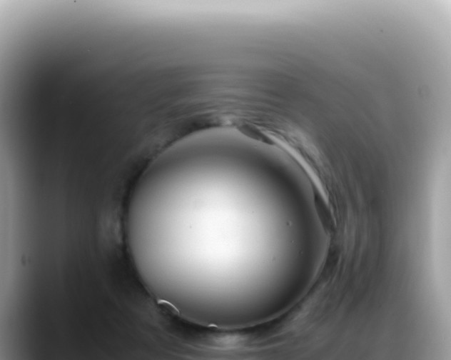 X0000088740313200706071705