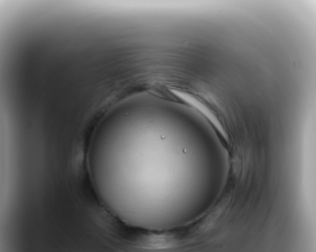 X0000088740314200706071705