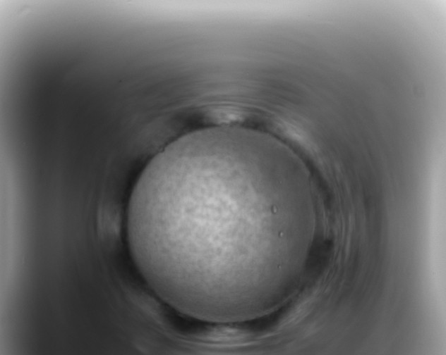 X0000088740315200706071705