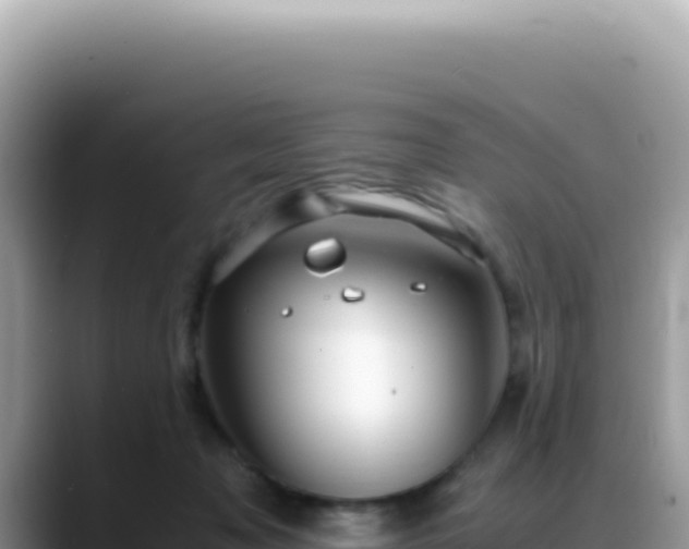 X0000088740317200706071705
