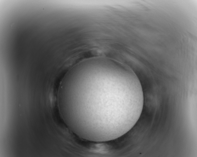 X0000088740324200706071705