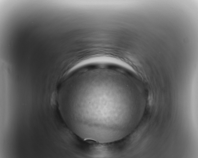 X0000088740325200706071705