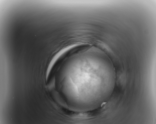 X0000088740329200706071705