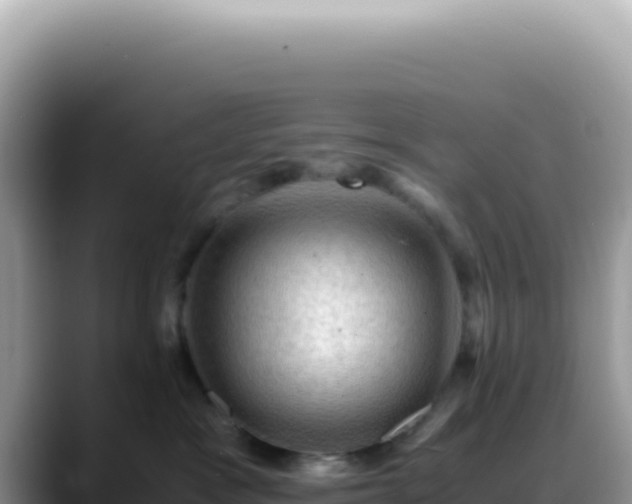X0000088740333200706071705