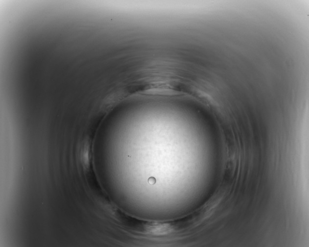 X0000088740334200706071705