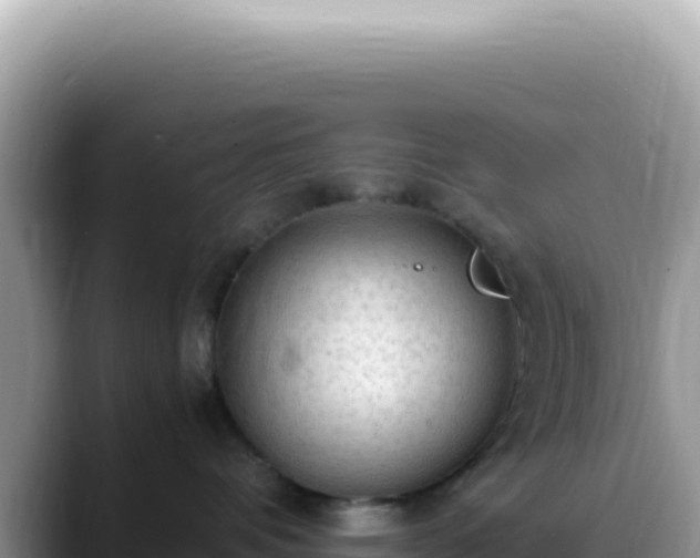 X0000088740336200706071705