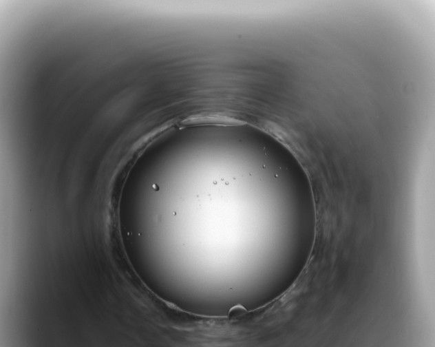 X0000088740338200706071704