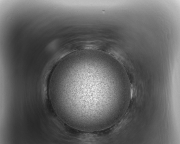X0000088740339200706071704