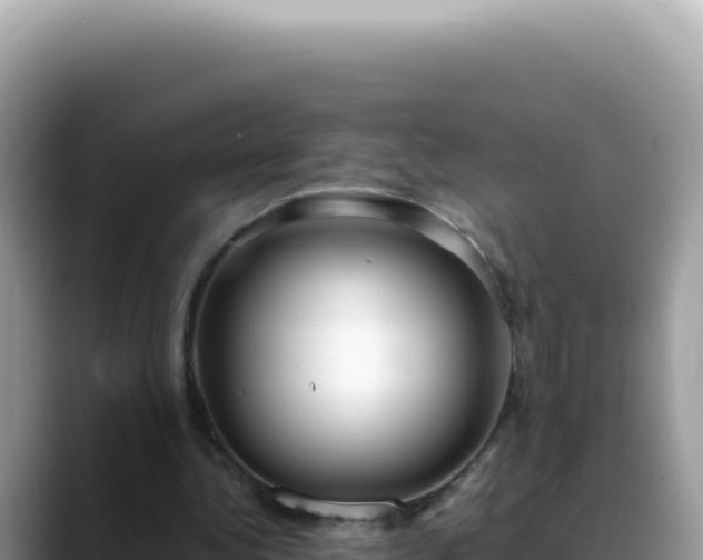 X0000088740340200706071704
