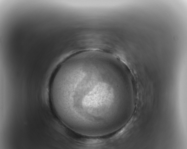 X0000088740342200706071704