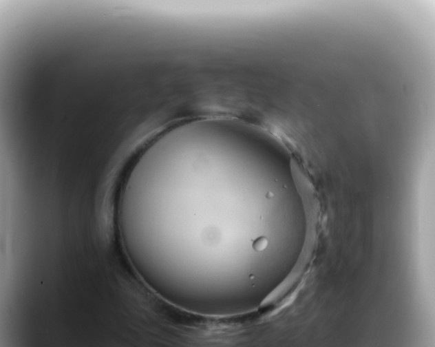 X0000088740343200706071704