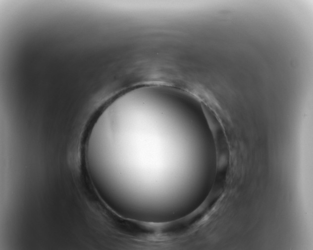 X0000088740344200706071704