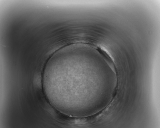 X0000088740345200706071704