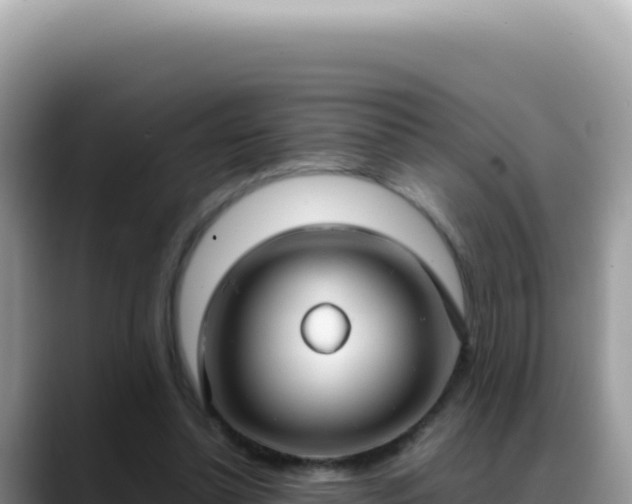 X0000088740348200706071704