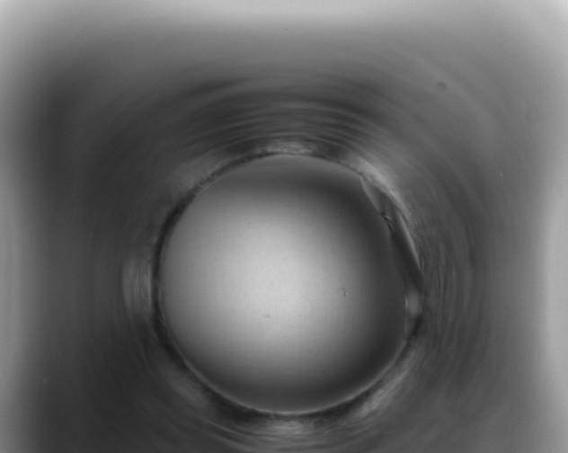 X0000088740349200706071704