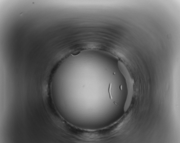 X0000088740351200706071704
