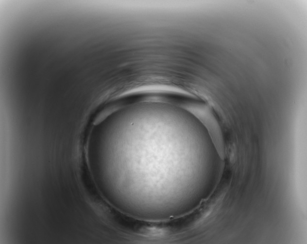 X0000088740352200706071704