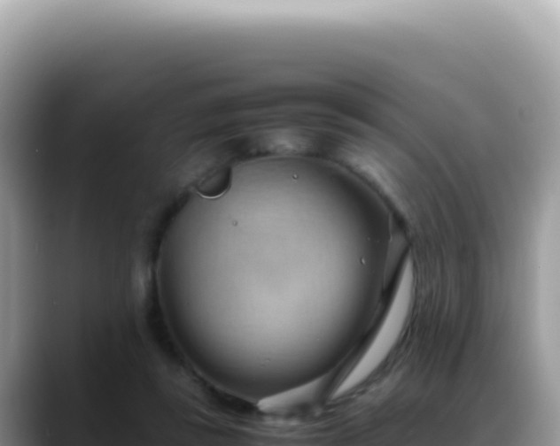 X0000088740355200706071704