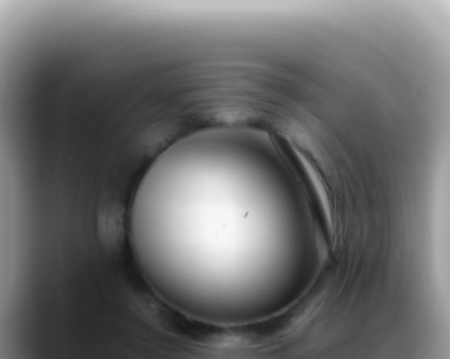 X0000088740356200706071704