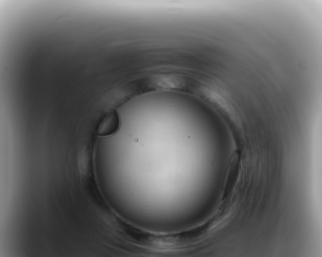 X0000088740359200706071704