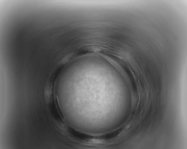 X0000088740360200706071704