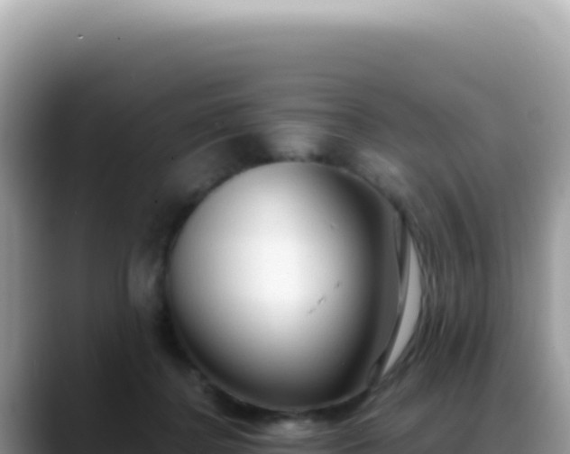 X0000088740364200706071704