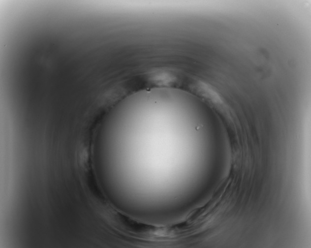 X0000088740365200706071704