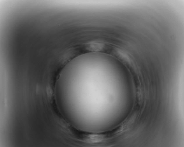 X0000088740371200706071704