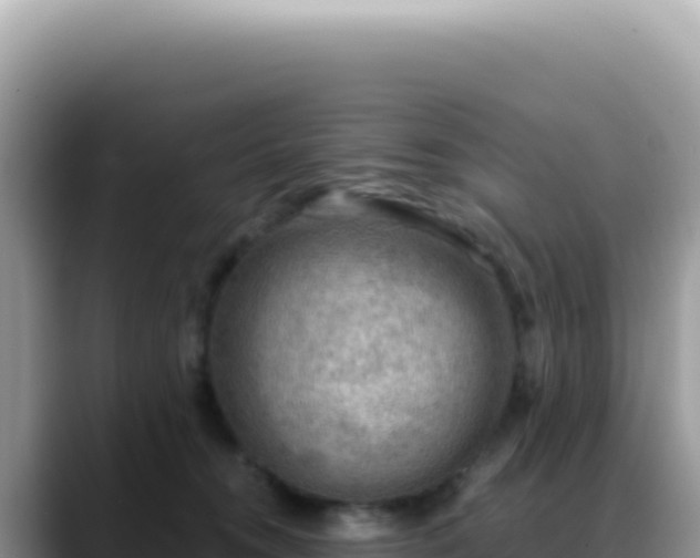X0000088740372200706071704