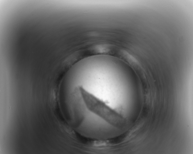 X0000088740373200706071704