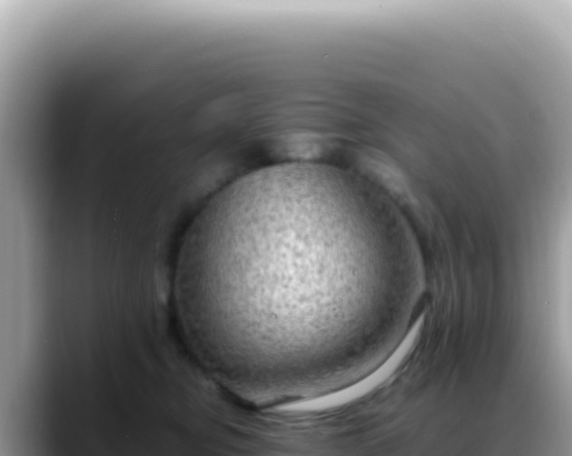 X0000088740374200706071704