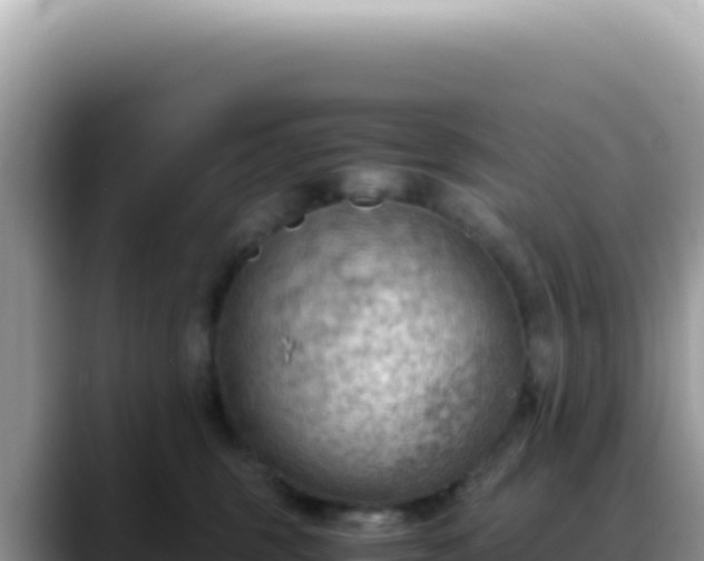 X0000088740375200706071705