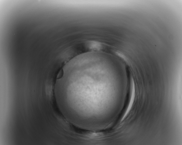 X0000088740379200706071705