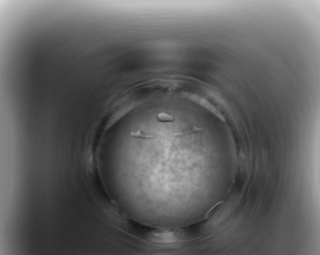 X0000088740381200706071705
