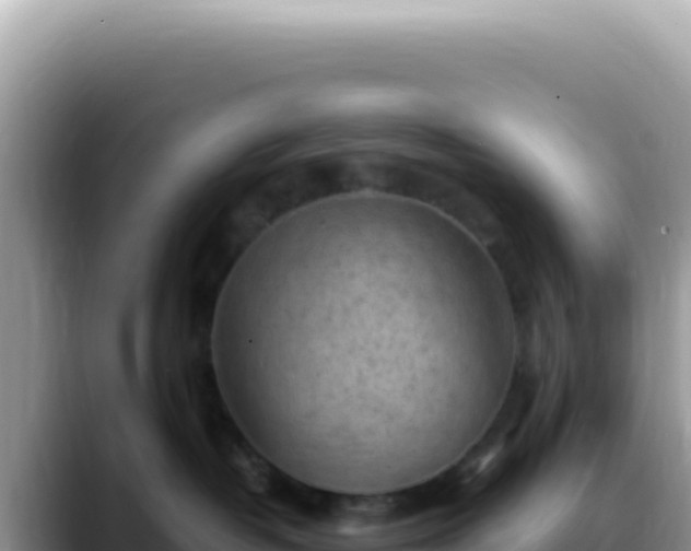 X0000088740382200706071705