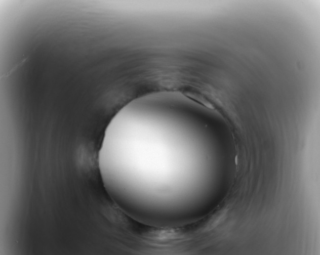 X0000088740384200706071705