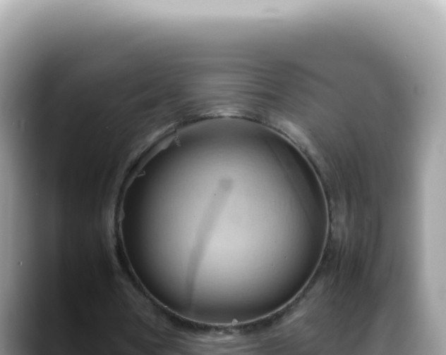 X0000088740386200706071704
