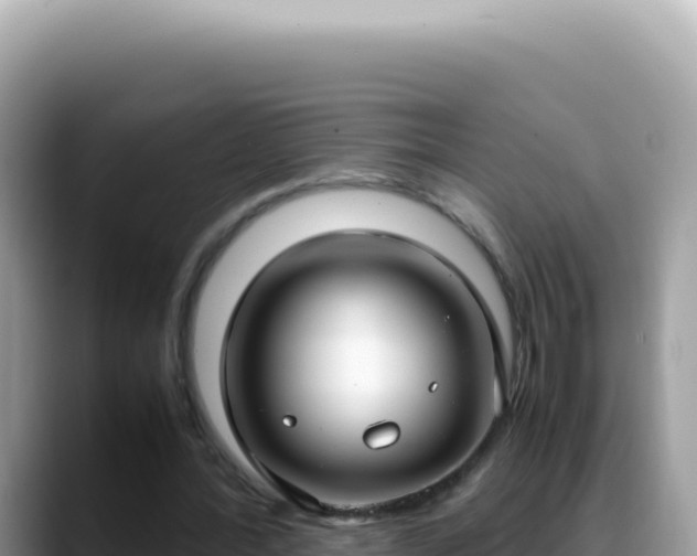 X0000088740388200706071704