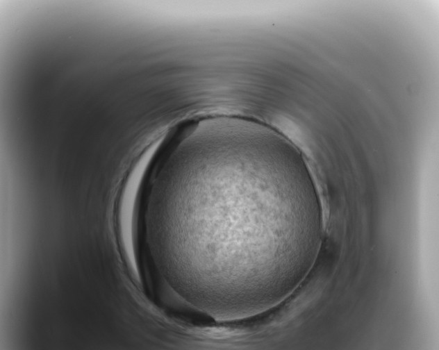X0000088740389200706071704