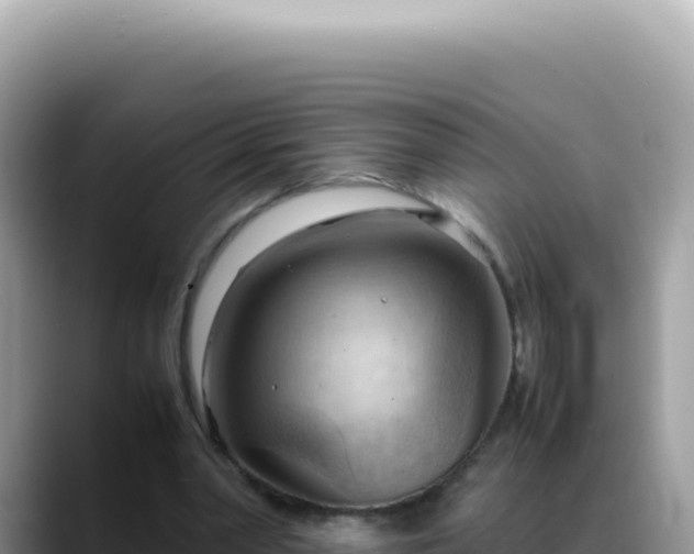 X0000088740390200706071704