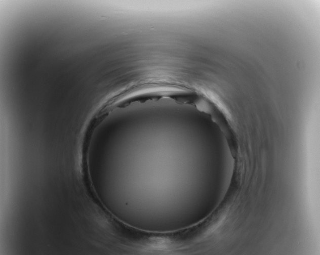 X0000088740391200706071704