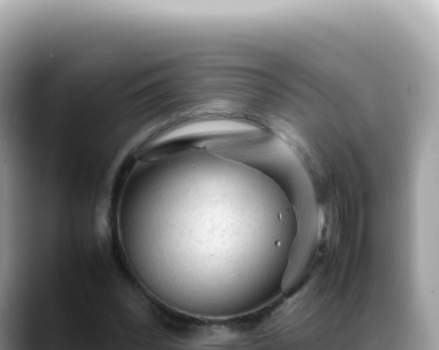 X0000088740392200706071704