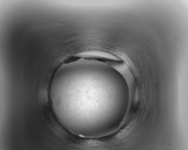 X0000088740393200706071704