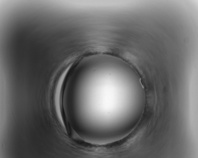 X0000088740395200706071704