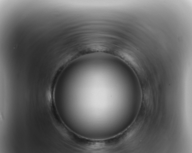 X0000088740398200706071704